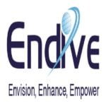 Endive Software Pvt Ltd Endive Software Pvt Ltd